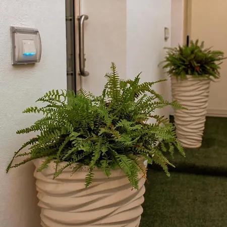 Vicoletto Fiorito Guest house *