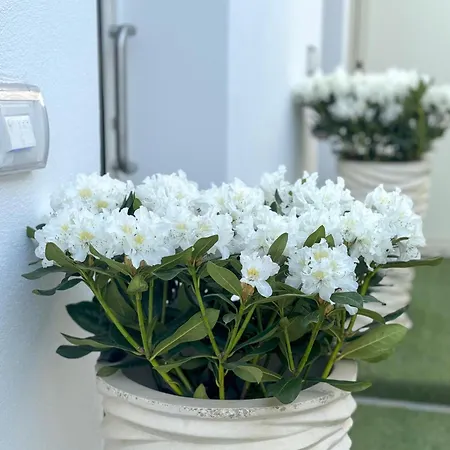 Guest house Vicoletto Fiorito Porto Empedocle